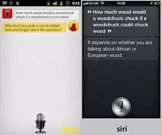 Recunoasterea vocii - Iris vs Siri! • Refu Blog