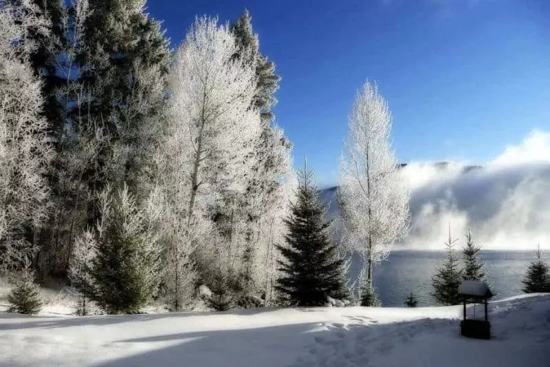 Cele mai frumoase imagini de iarna